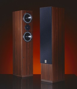 Qubic 313